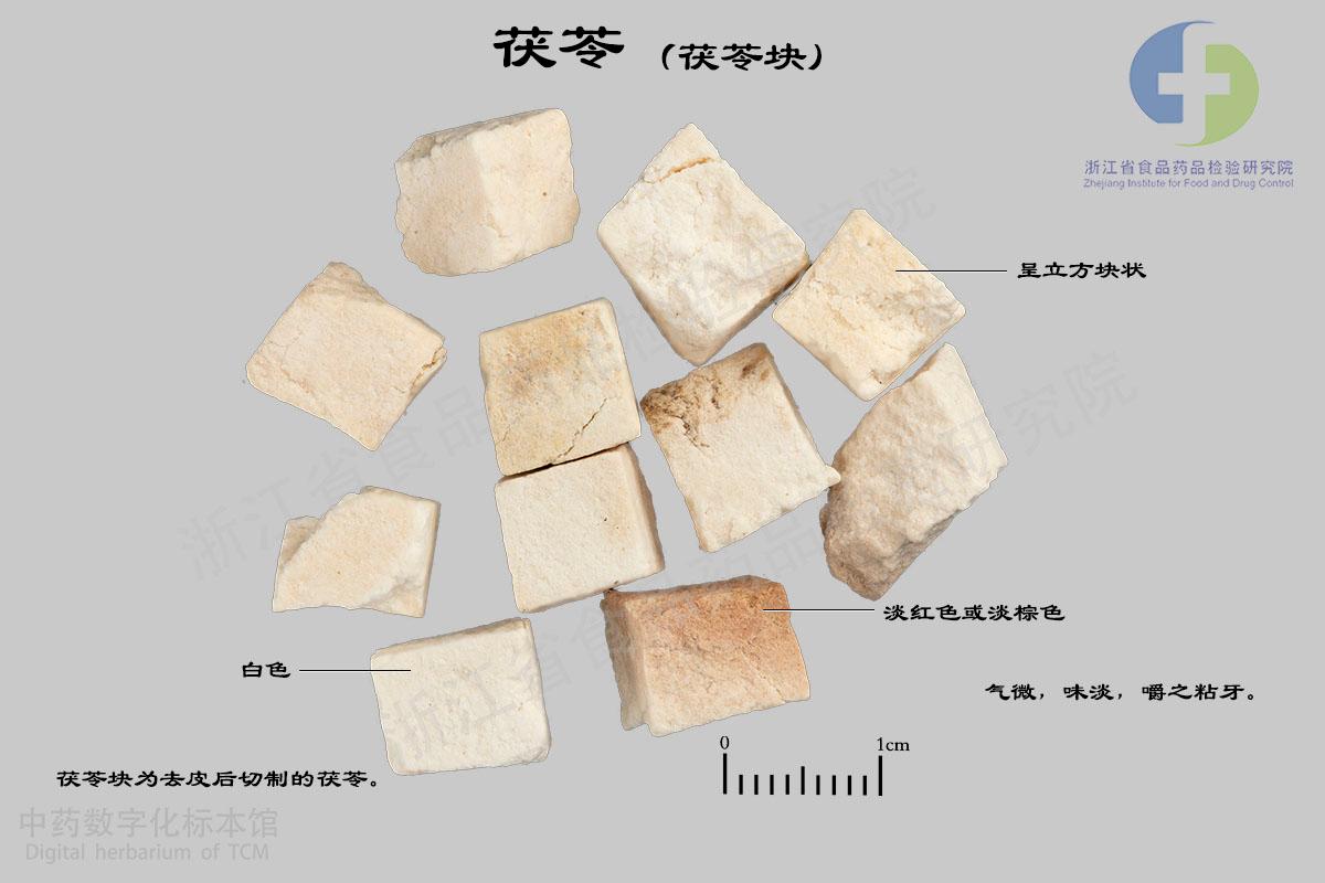 茯苓 标本影像